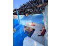 appartement-a-louer-50-m2-a-chefchaouen-small-5