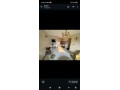 maisons-bein-equipe-louer-a-tanger-hay-hassani-small-4