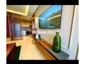 appart-chic-pret-a-habiter-small-3