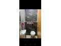 appartement-avec-piscine-a-agadir-bay-small-6
