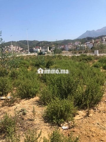 قطع اراضي محفظة بكويلمة - Vente Immobilier - Tetouan - photo 1