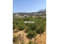 ktaa-arady-mhfth-bkoylm-small-0
