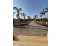 somptueuse-maison-a-vendre-a-route-amizmiz-surface-de-10000-m2-small-4