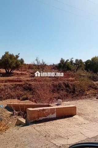 Terrain Melkiya Route Amezmiz - Vente Immobilier - Marrakech - photo 1
