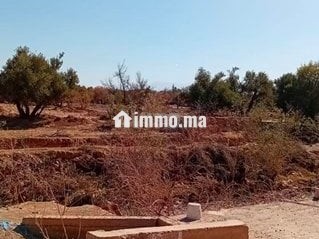 terrain-melkiya-route-amezmiz