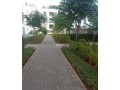 location-dun-appartement-a-les-orangers-small-1