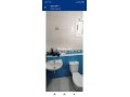 shk-llkraaa-fy-ost-shfshaon-small-1