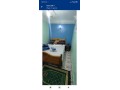 shk-llkraaa-fy-ost-shfshaon-small-2