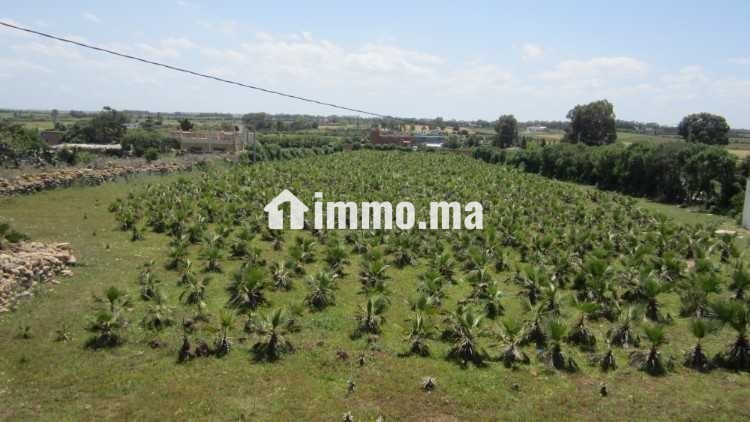 Terrain a vendre sur r. azemmour - Vente Immobilier - Casablanca - photo 2