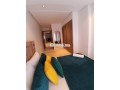 appartement-haut-standing-a-mimosas3-chambres-small-2