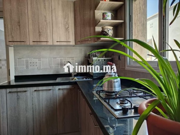 appartement-de-vacances-a-louer-en-centre-ville-2-belles-chambres-terrasse-et-jardin-big-6
