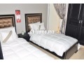 appartement-meuble-centre-pres-jean-fontaine-small-5