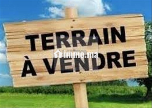 Terrain zone industrielle - Vente Immobilier - Mohammedia - photo 1