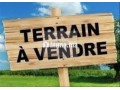 terrain-zone-industrielle-small-0