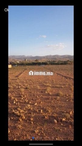 Terrain plat 2800m2 - Vente Immobilier - Tinghir - photo 5