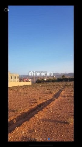 Terrain plat 2800m2 - Vente Immobilier - Tinghir - photo 7