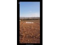 terrain-plat-2800m2-small-4