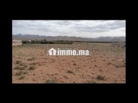 Terrain plat 2800m2 - Terrain à vendre - Tinghir