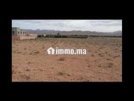Terrain plat 2800m2 - Terrain à vendre - Tinghir
