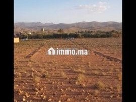 Terrain plat 2800m2 - Terrain à vendre - Tinghir
