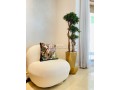 location-appartement-meuble-quartier-californie-small-4
