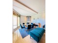 location-appartement-meuble-quartier-californie-small-5