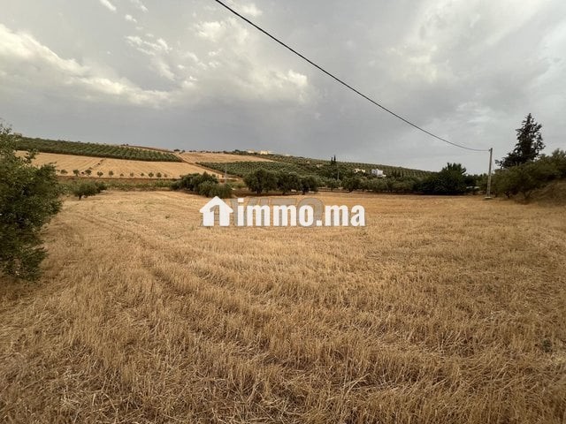 Terrain agricole - Location Immobilier - Meknes - photo 7