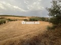 terrain-agricole-small-1