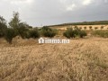 terrain-agricole-small-5