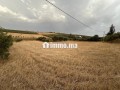 terrain-agricole-small-6