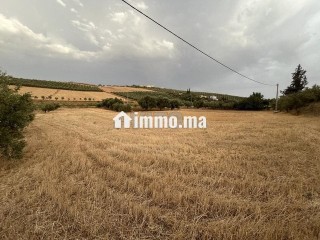 Terrain agricole - Terrain à louer - Meknes