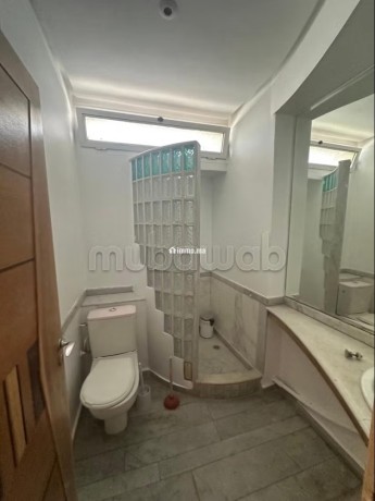 magnifique-villa-a-louer-oasis-vide-big-16