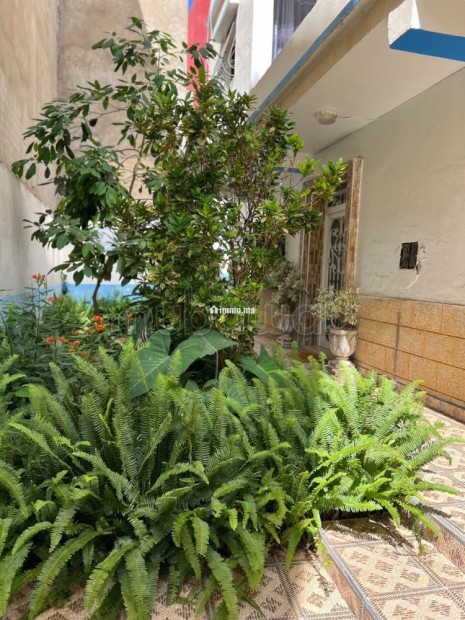 Appartement en location à M'Diq. 2 belles chambres. Bien meublé - Location Immobilier - Autre - photo 1