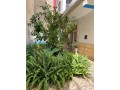 appartement-en-location-a-mdiq-2-belles-chambres-bien-meuble-small-0