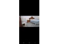 appartements-a-louer-a-chefchaouen-3-pieces-confortables-environnement-calme-avec-vue-montagne-double-vitrage-small-3