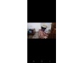 appartements-a-louer-a-chefchaouen-3-pieces-confortables-environnement-calme-avec-vue-montagne-double-vitrage-small-6
