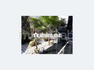 Villa moderne Ain diab résidence - Villa à vendre - Casablanca