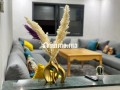 location-saisonniere-a-founti-2-pieces-salon-marocain-et-antenne-parabolique-small-14