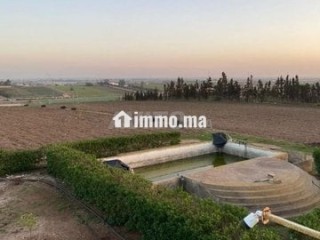 Ferme et petite villa - Terrain à vendre - Azemmour