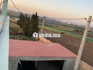 Ferme et petite villa - Terrain à vendre - Azemmour