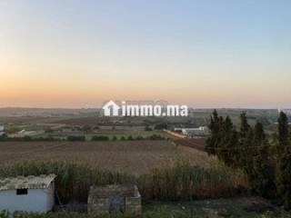 Ferme et petite villa - Terrain à vendre - Azemmour