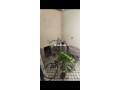 splendide-riad-traditionnel-a-vendre-un-bijou-small-3