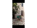splendide-riad-traditionnel-a-vendre-un-bijou-small-6