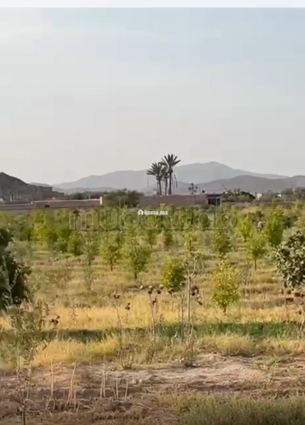 Terrain à la vente à Route de Fez. Superficie 17000 m² - Vente Immobilier - Marrakech - photo 2