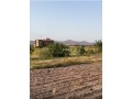 terrain-a-la-vente-a-route-de-fez-superficie-17000-m2-small-4