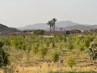 Terrain à la vente à Route de Fez. Superficie 17000 m² - Terrain à vendre - Marrakech