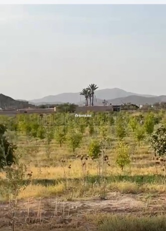 terrain-a-la-vente-a-route-de-fez-superficie-17000-m2-big-1