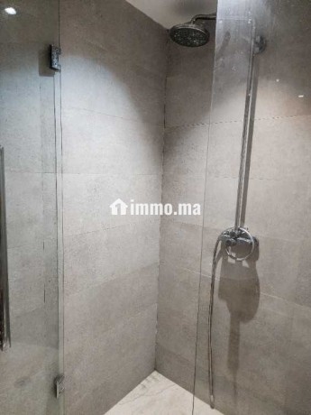 studio-meuble-haut-standing-racine-a-louer-big-6