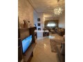 appartement-meuble-a-louer-small-1