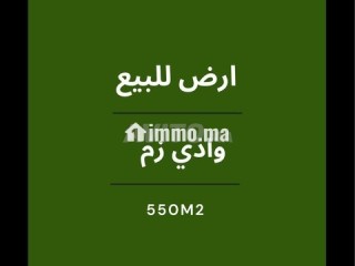 shk-llkraaa-alyomy-boznyk-ktany